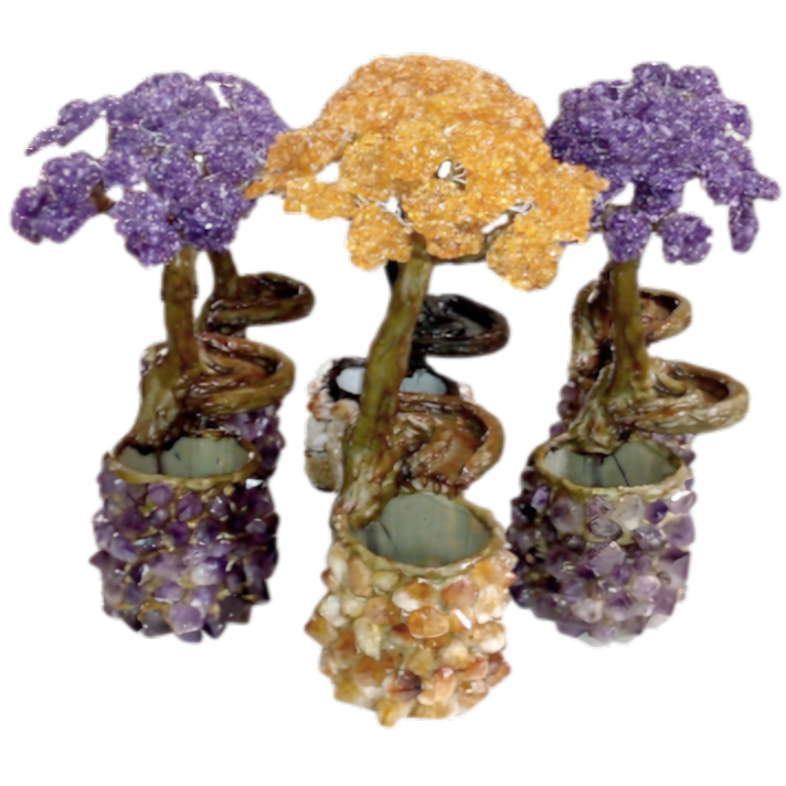 STANDARD TREE FOUNTAIN