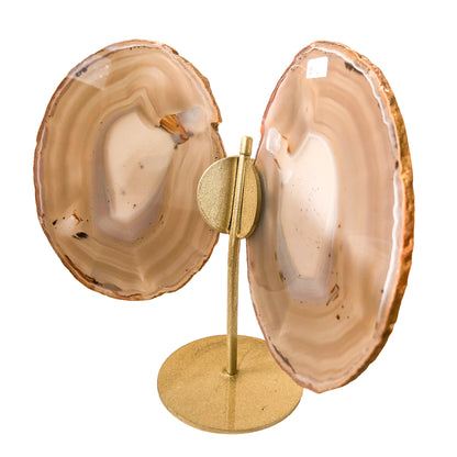 Agate Slice Butterfly on Stand