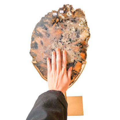 Agate Slice on Stand Large