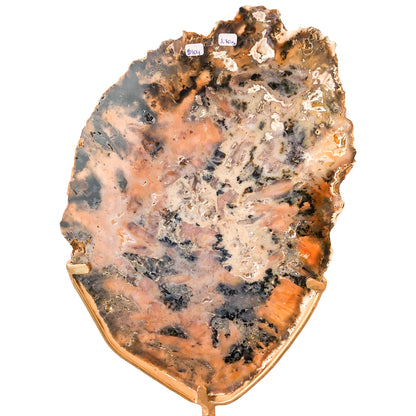 Agate Slice on Stand