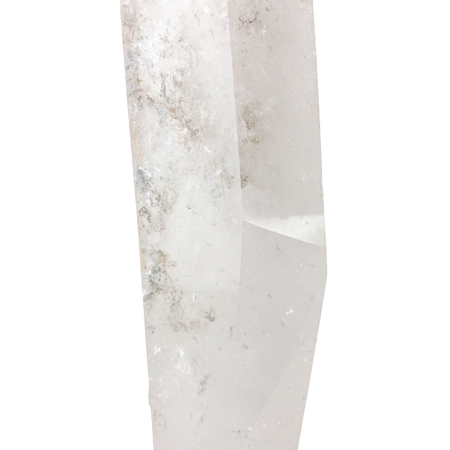 Details Lemurian on Stand