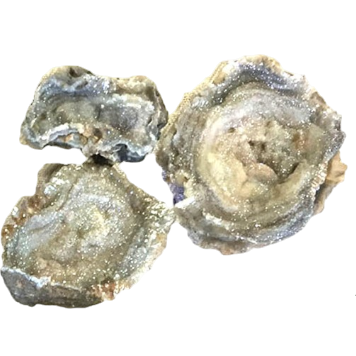 COATED CHALCEDONY DRUZY - SIZE 3