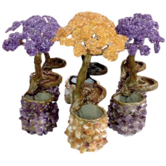 STANDARD TREE FOUNTAIN